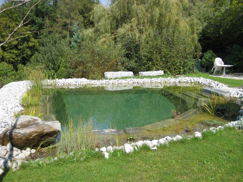 kleiner Naturpool